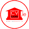 CV BANK IRELAND